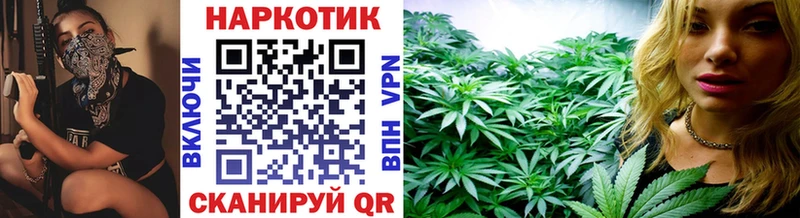 Магазины продажи наркотиков Ардон МЕГА как войти  Псилоцибиновые грибы  Амфетамин  Мефедрон  Alpha PVP  Марихуана  ГАШ 