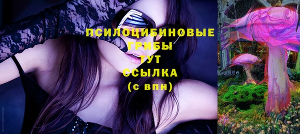 ПСИЛОЦИБИНОВЫЕ ГРИБЫ Алексин